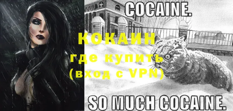 COCAIN FishScale  купить наркотики цена  Тобольск 